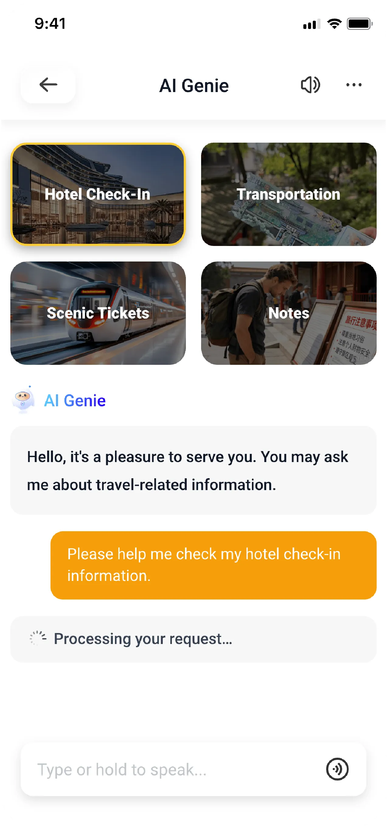 Customer service preview